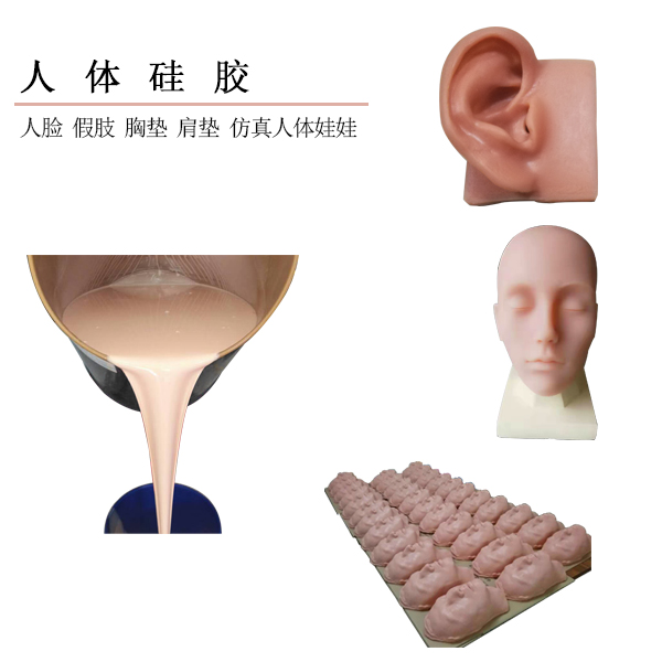 人体硅胶的优缺点,人体知识和生理知识