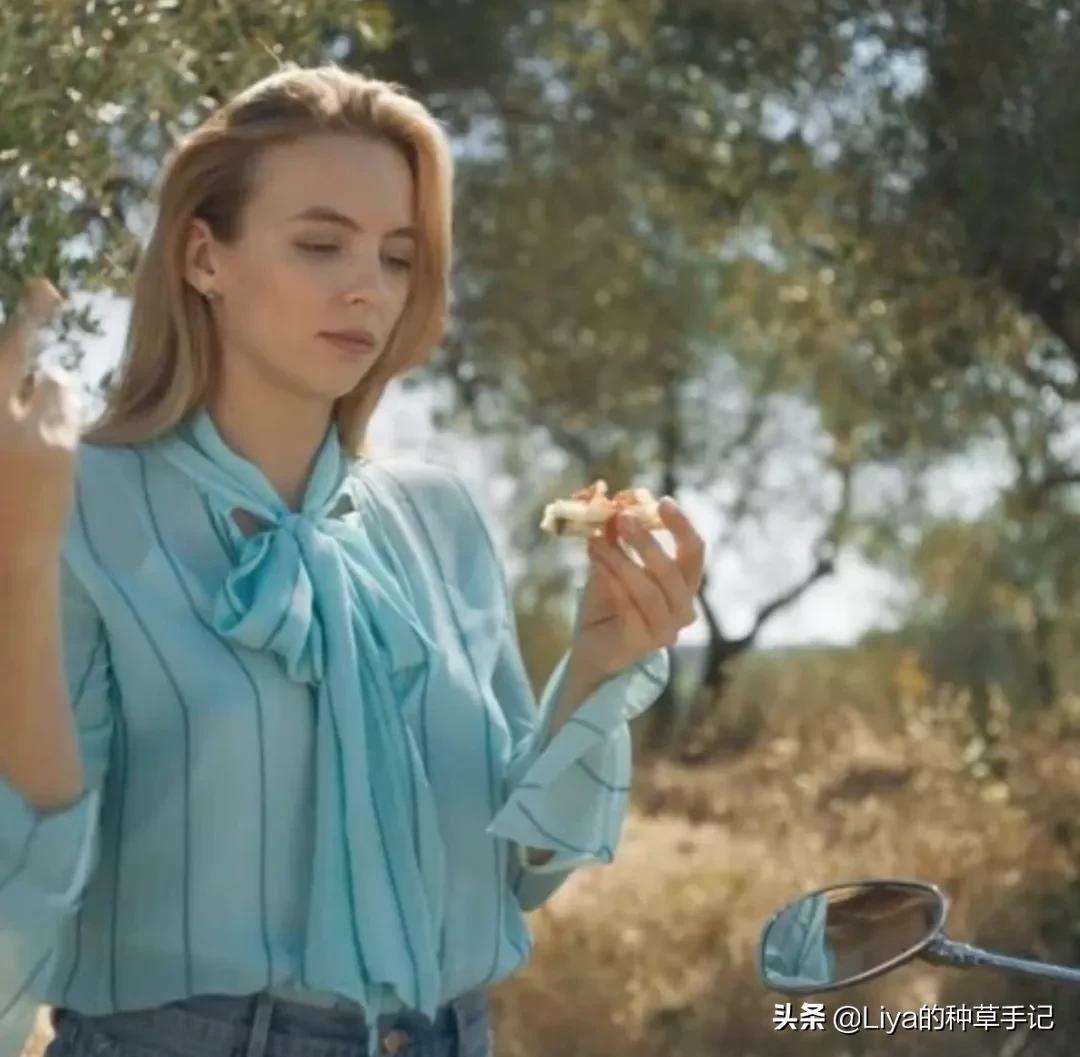 什么鬼土味情话,为什么蝴蝶结会火