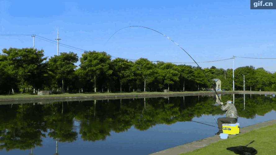 日本达亿瓦鱼竿前十名推荐,正品顶级达亿瓦鱼竿价格表