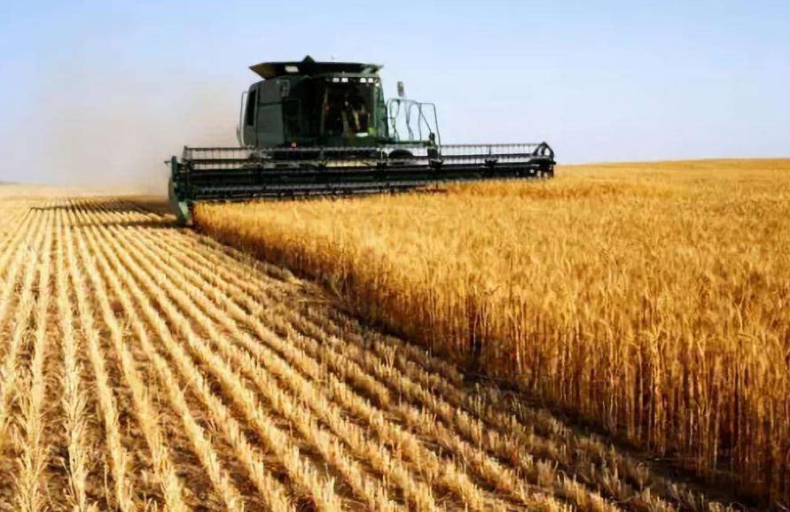 诗歌的收获,有关收麦子的古诗词有哪些