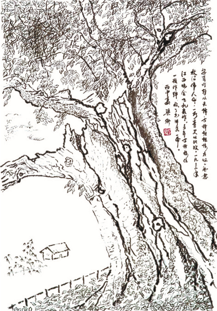 梁衡自传,十大美文梁衡