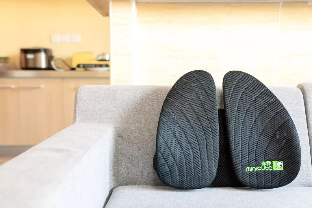 京东人体工学腰垫,人体工学腰垫品牌推荐