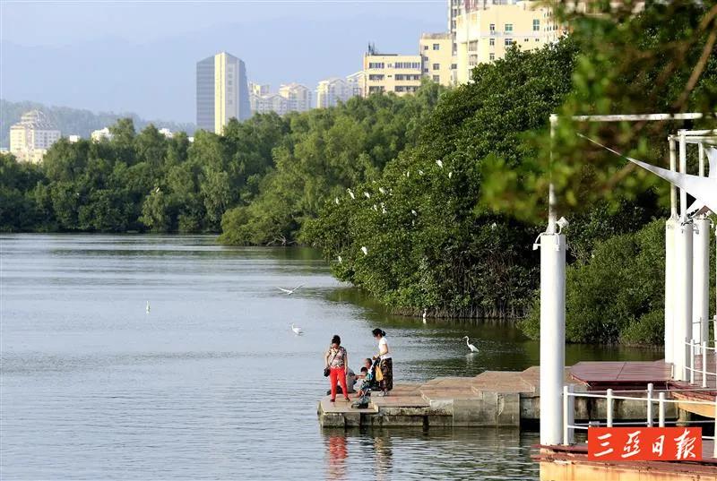 三亚市的森林绿化面积有多少,三亚生态建设与保护十三五规划