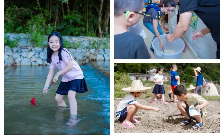 惠东忘山居民宿,惠东特色亲子民宿有哪些