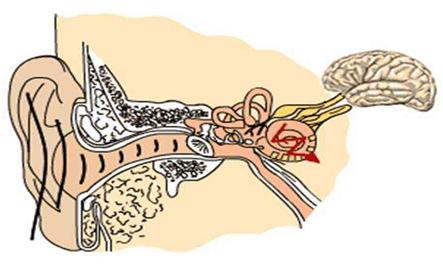 耳鸣带来的痛苦谁能懂,个人耳鸣的真实经历