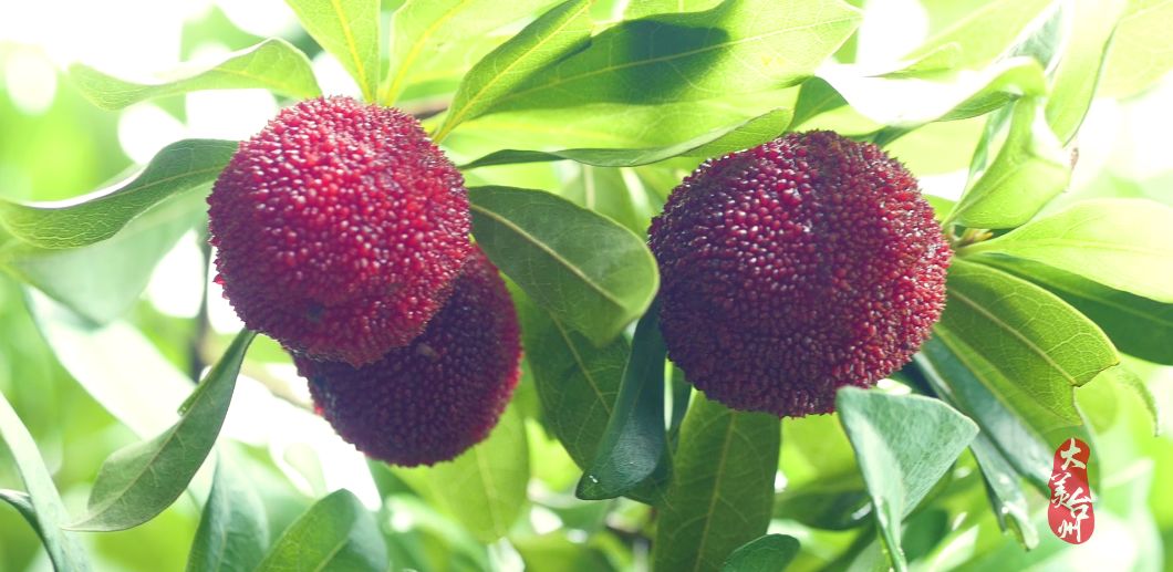 台州历史文化遗产,台州山海文化