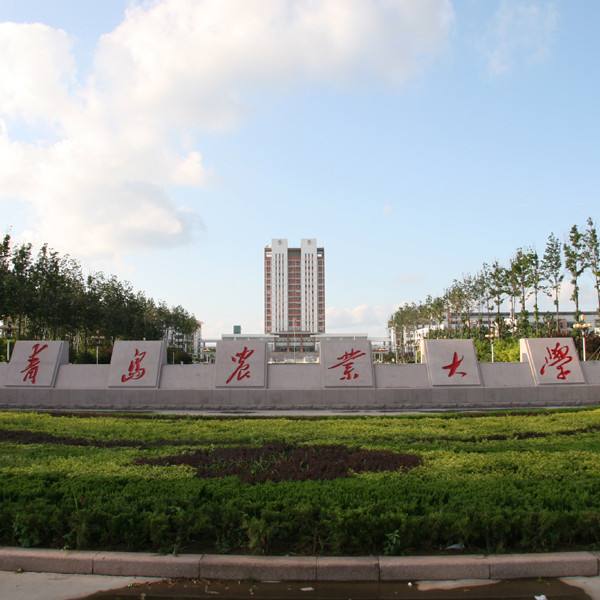 最容易进烟草系统的专业,进烟草最好进的专业