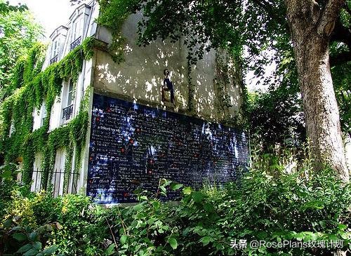 见证爱情的巴黎爱墙，用280种语言向你告白