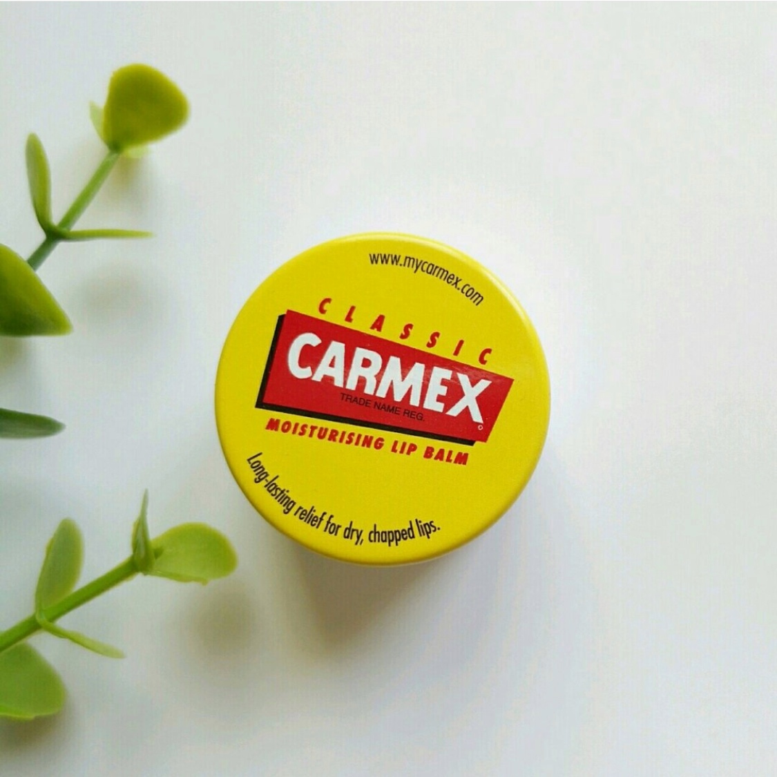 口碑最好的10款唇膏是哪款啊,最好用的10款唇膏是哪种款式