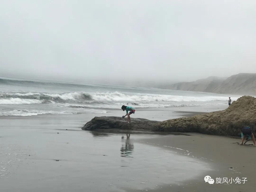 加州沿海1号公路自驾游散装系列（一）：阳光北加的金山依旧