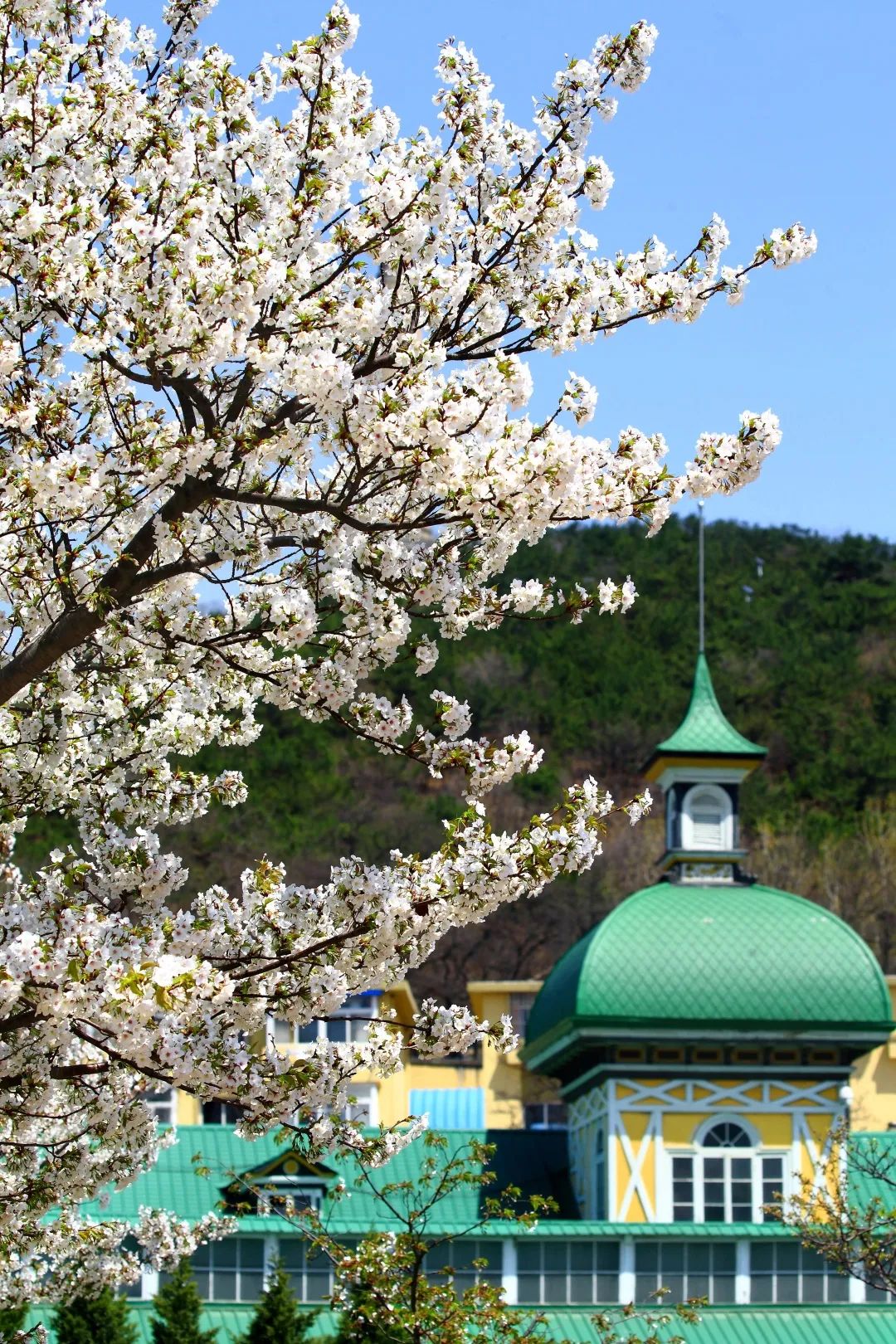 旅顺自然保护区,旅顺文物保护区