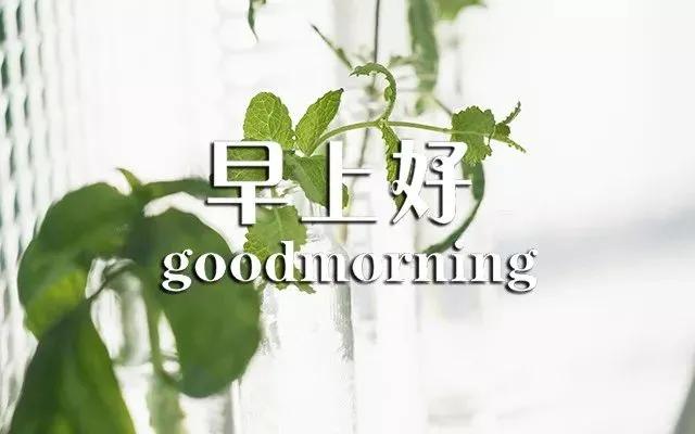 人就像一根弦绷太紧会断,人生就像一根弦