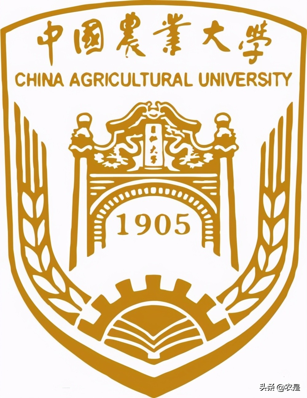 张微教授,张微女士