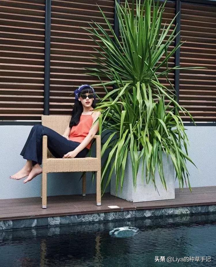 2023年脏橘色,今年火爆脏橘发色