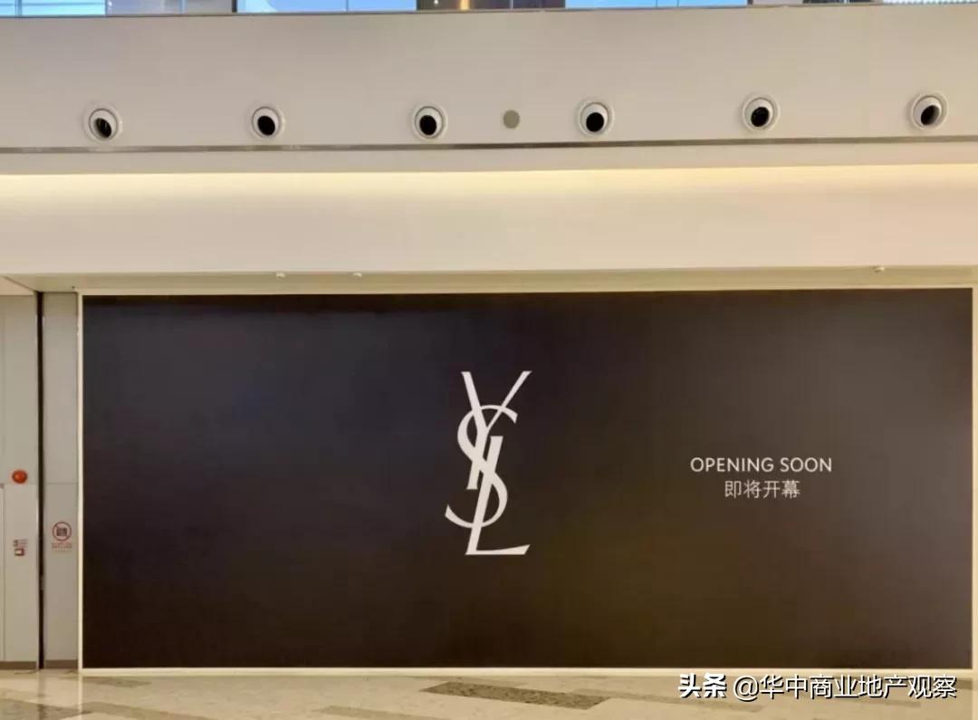 武汉市场排行,武汉新晋品牌