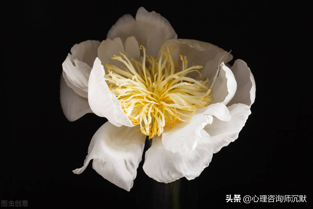 青春期孩子暴躁不与父母沟通,青春期小孩脾气大不愿意低头