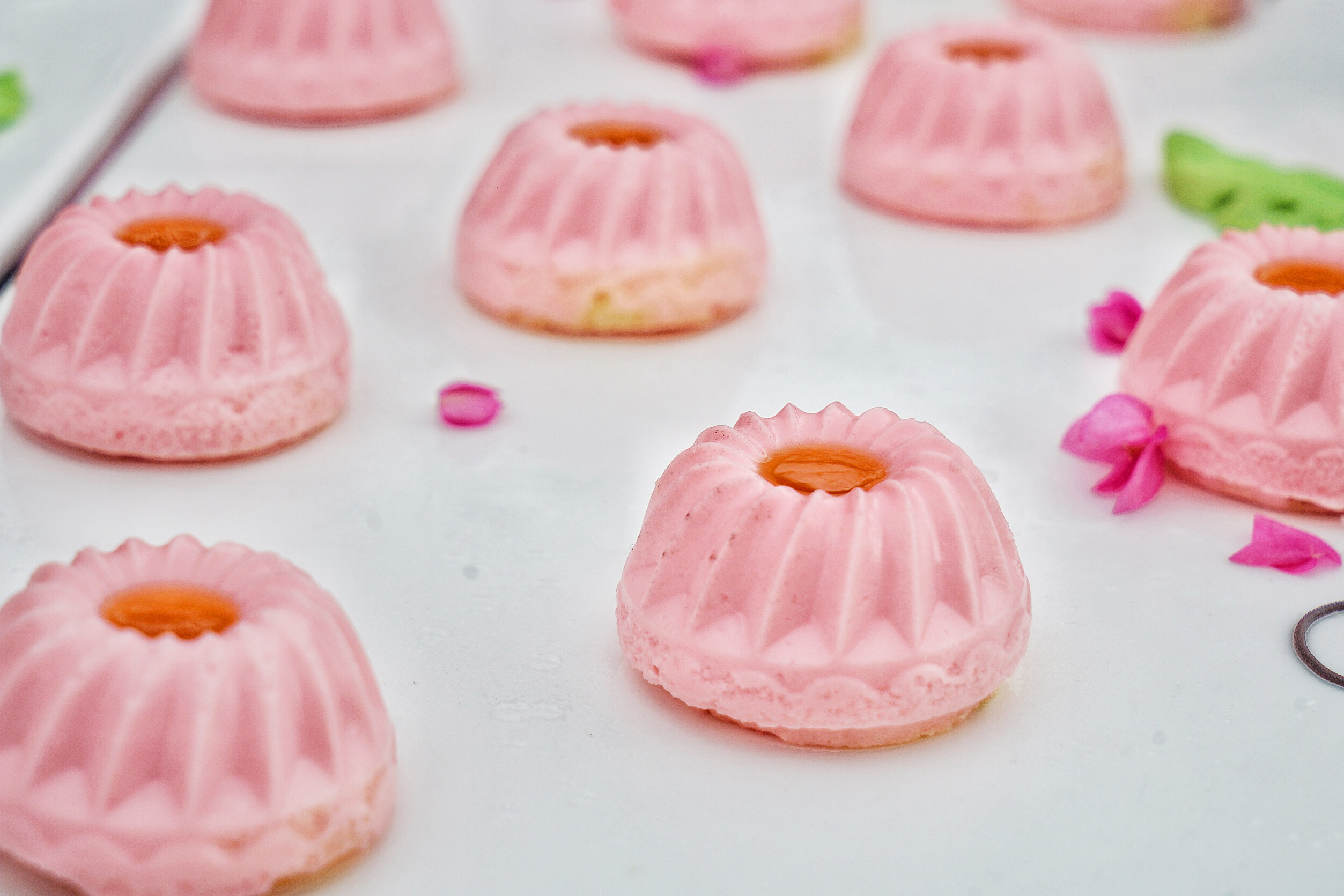 广州粉色浪漫花海,广东秋天粉色花海