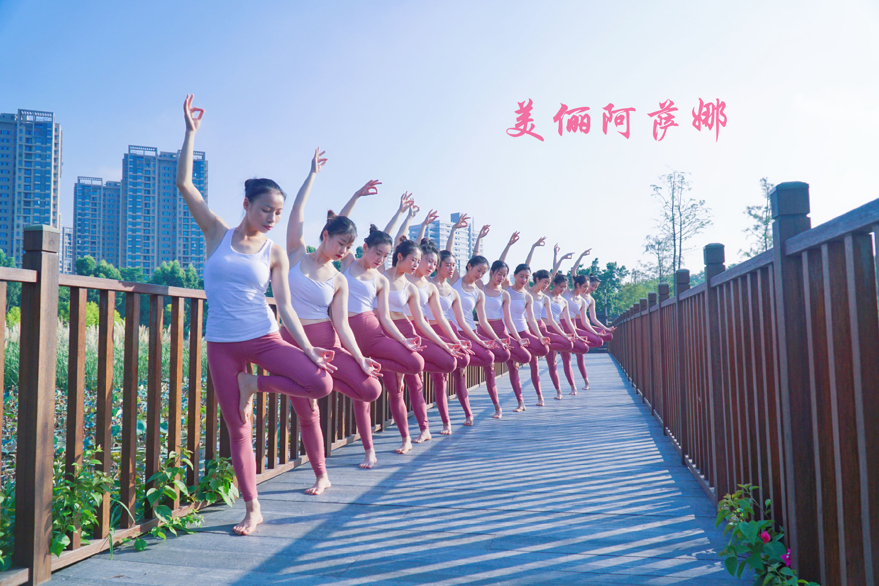 瑜伽培训每天必练,瑜伽私教体验课应该学什么