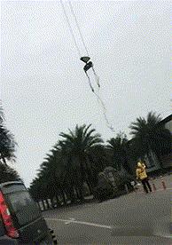 生物老师是女的,生物老师是个女的