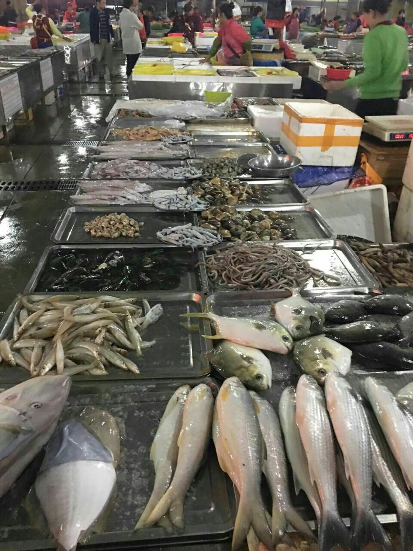 20161218桂林洋大学城返校记（那一年的海口青年户外）