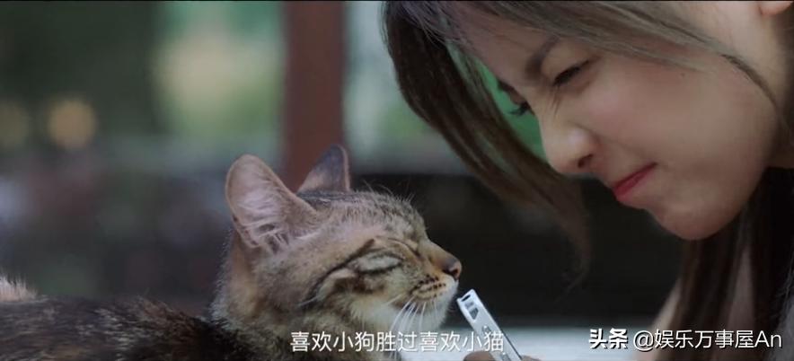 时隔十多年,浪漫满屋火遍亚洲