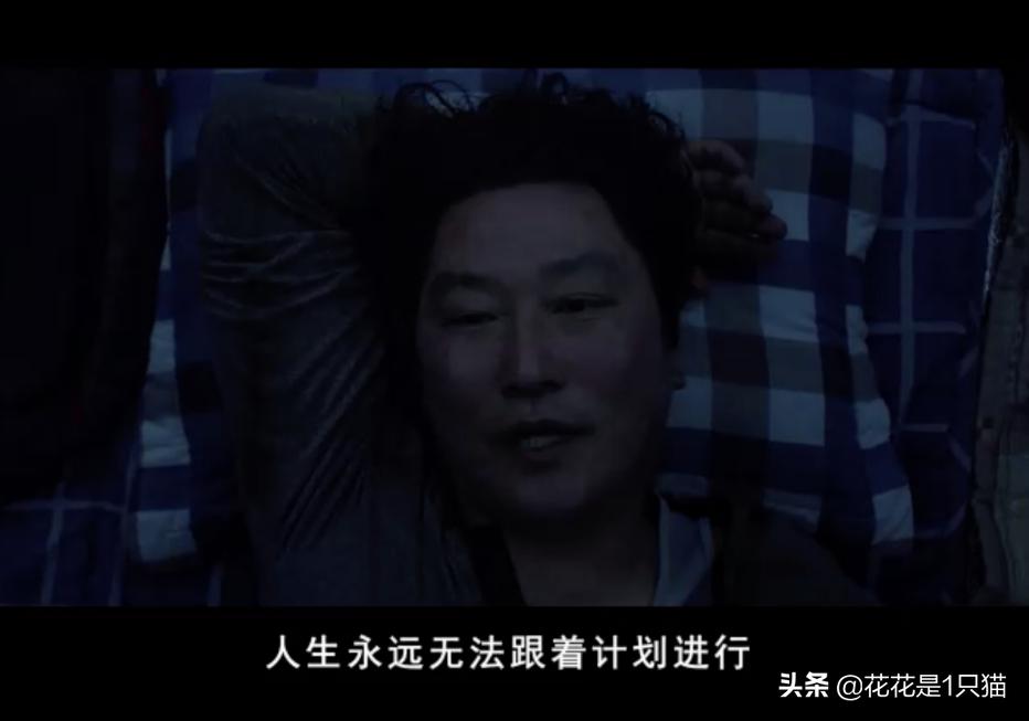 甚至不配拥有*生活性**？寄生只是为了“生”，并不都是虫