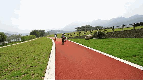 每天骑行10公里的好处,骑行的20大好处