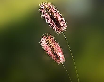 人生落魄时，要学会调整心态