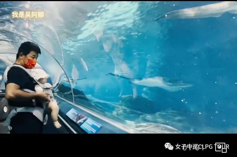 高尔夫朋友圈,高尔夫朋友圈配文