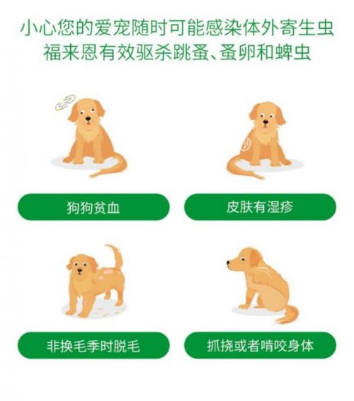 狗狗驱虫药福来恩效果怎么样,驱虫药福来恩和大宠爱哪个好