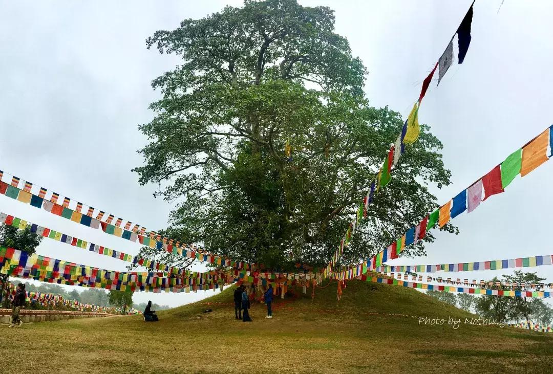 徒步小游记,徒步西藏小白