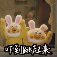 惊吓！卧室墙壁沾着几个小毛团，细看竟……专家解释→