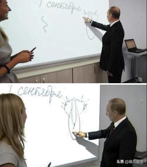 论猫对狗的影响力有多大,论猫有多优雅