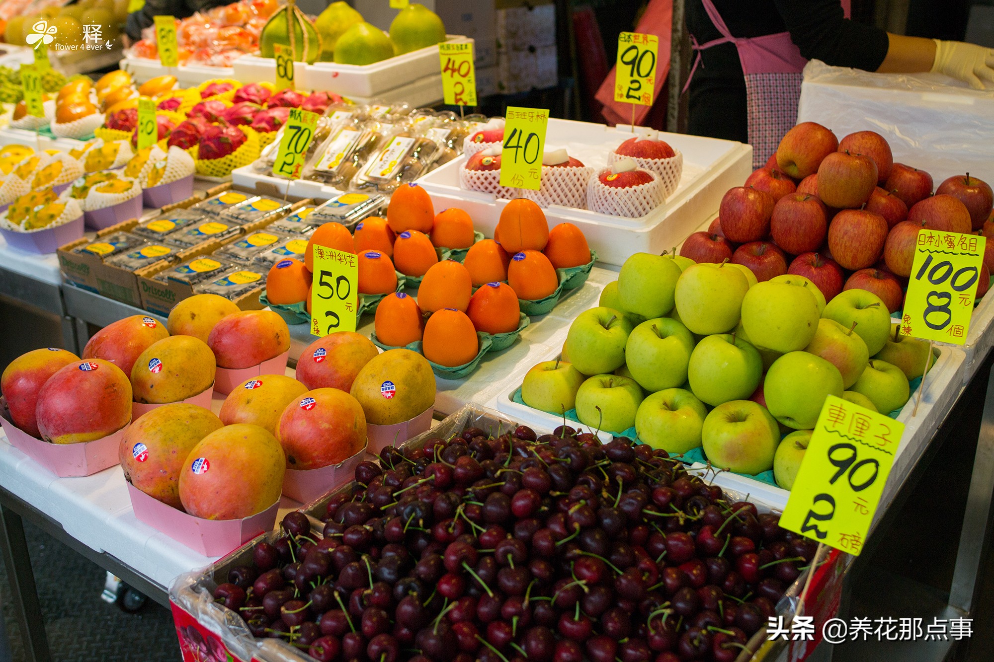 水果一斤一百多，穷人都吃不起蔬菜水果，这才是真正的香港