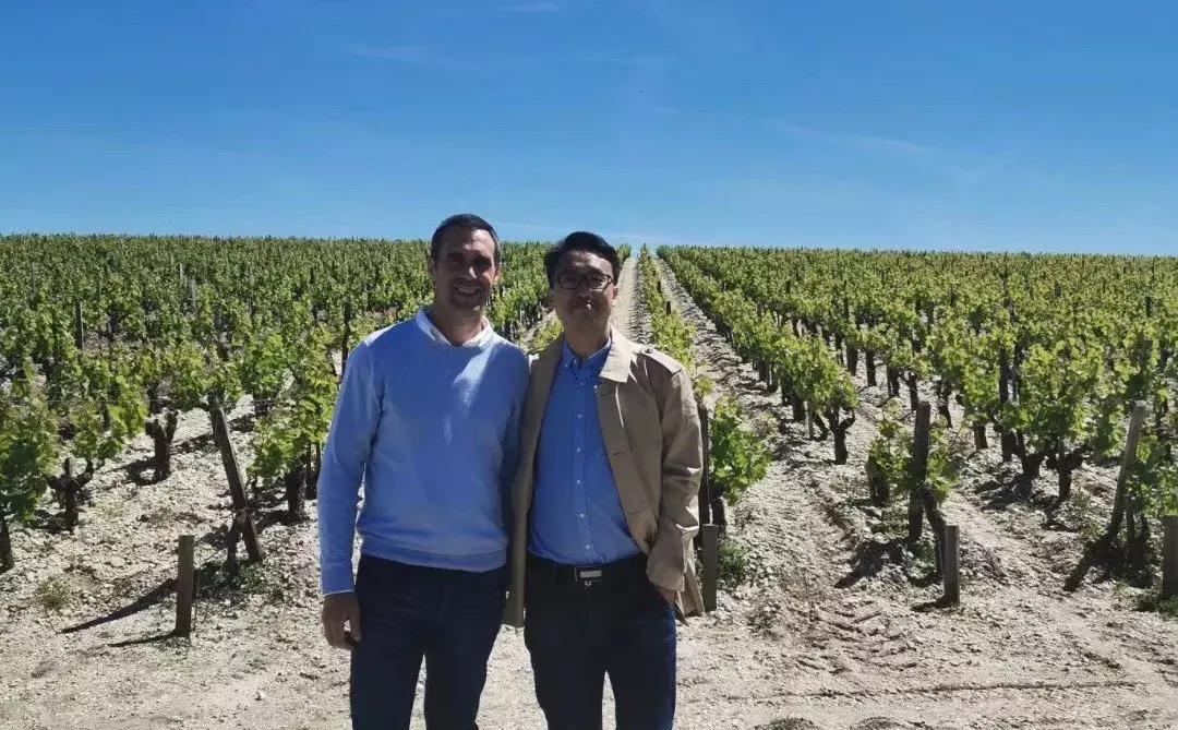 「酿酒师专栏」在拉菲点上蜡烛喝酒我内心是复杂的