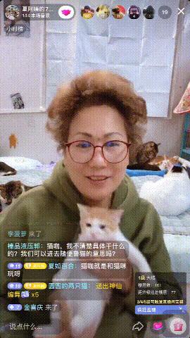 有哪些猫咪在直播,抖音直播出现的猫咪