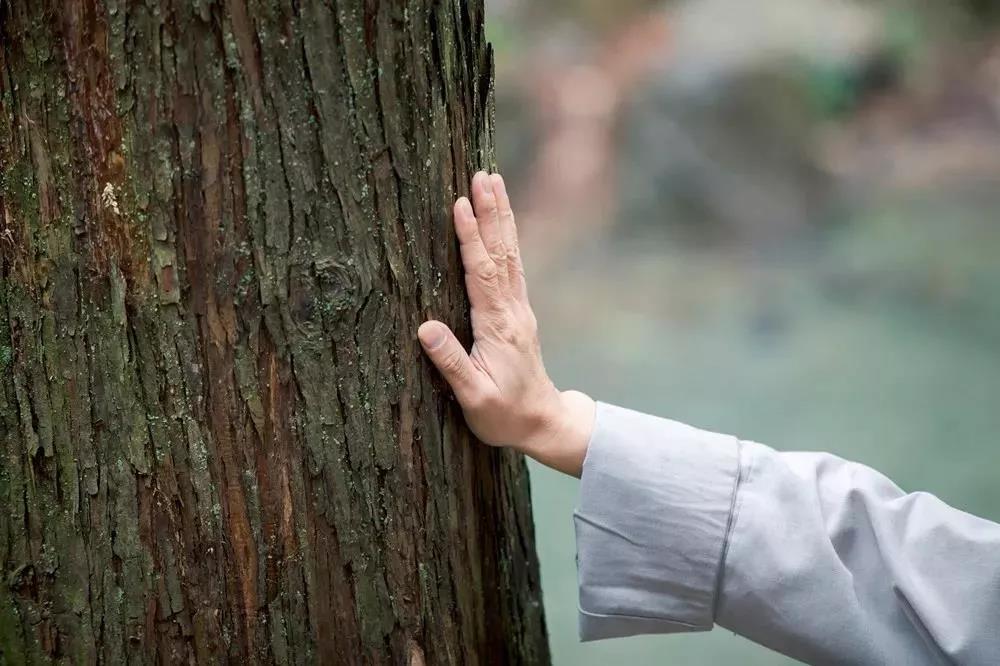 原木实木家具定制效果图,什木坊整体家装