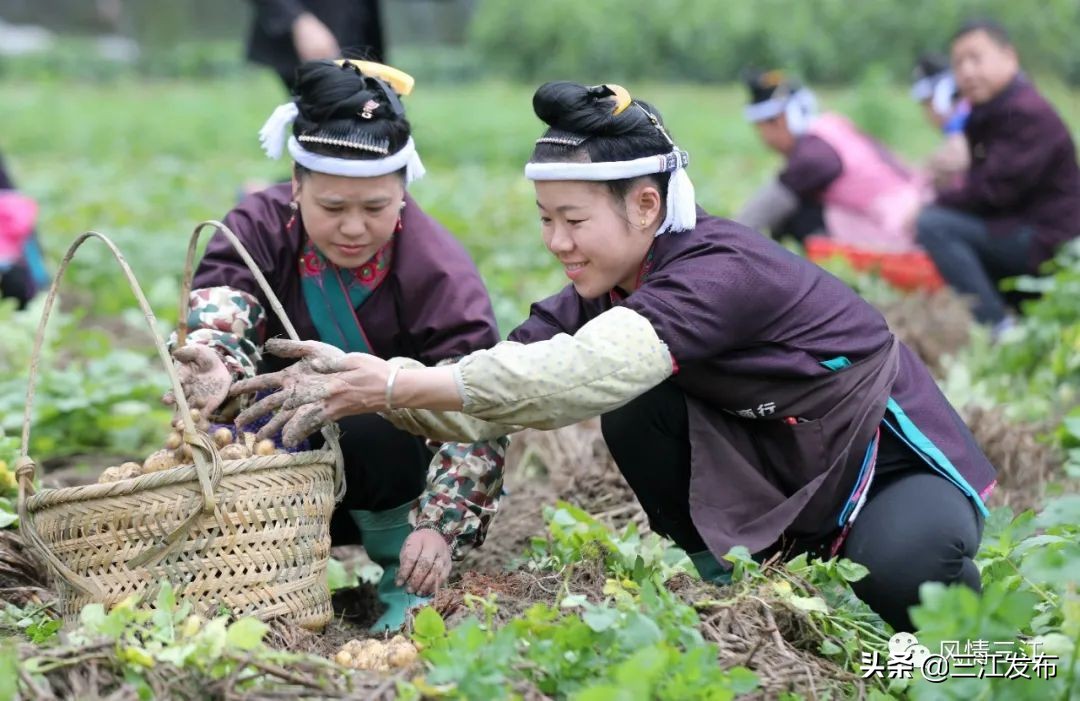 三江旅游攻略三天,扩散景区