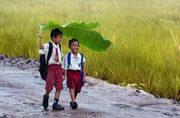 有机农业真实感受,现在的有机农业到底好不好