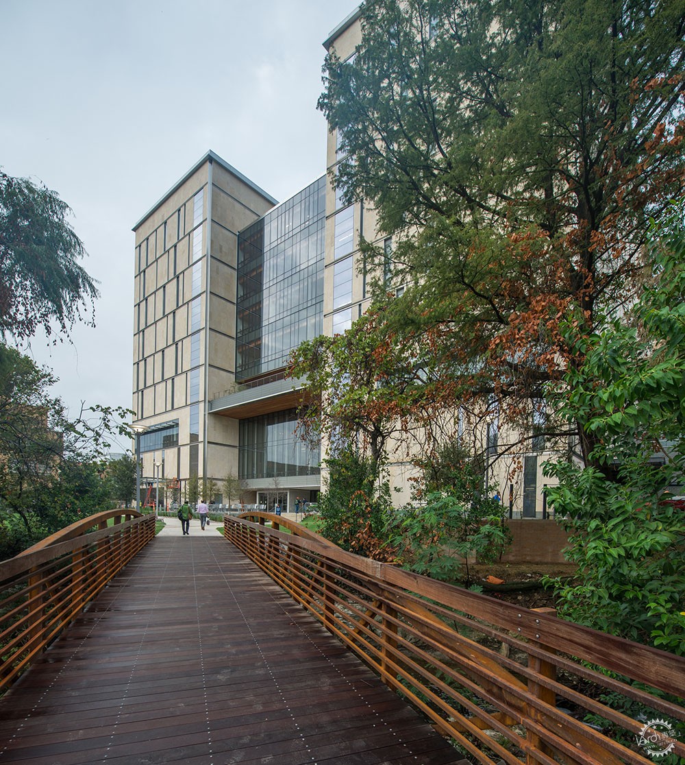 别人的教学楼，不仅用于学习，还是精致的艺术品