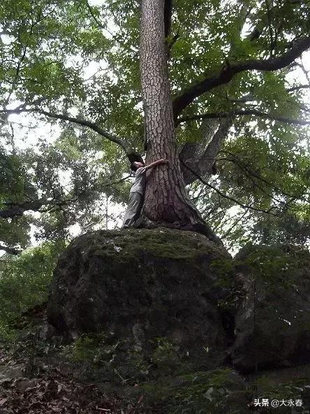 永春免费旅游景点大全一日游,永春山歌小镇旅游攻略