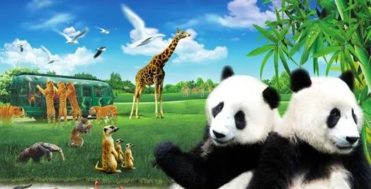 深圳这些景区将全部关闭,深圳疫情旅游景点什么时候开放