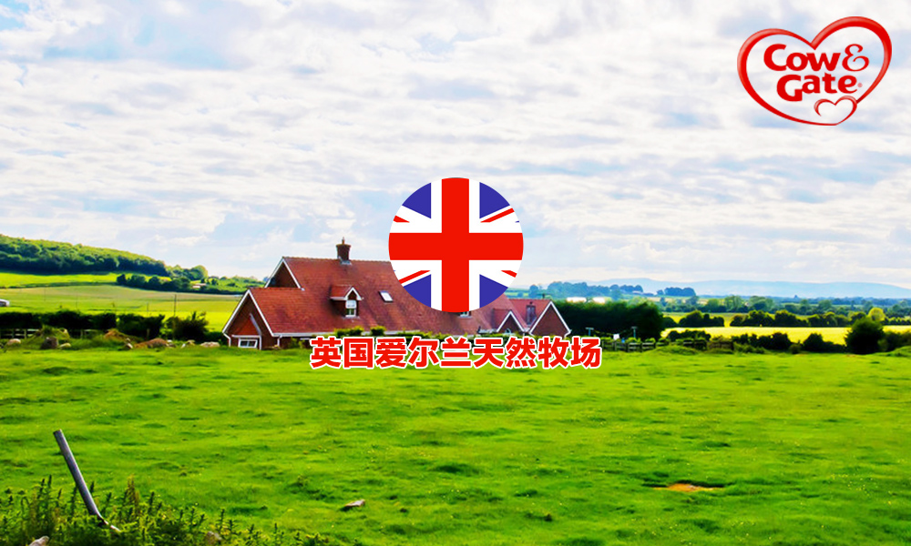 爱他美奶粉经典款德国和英国区别,爱他美奶粉英国白金版