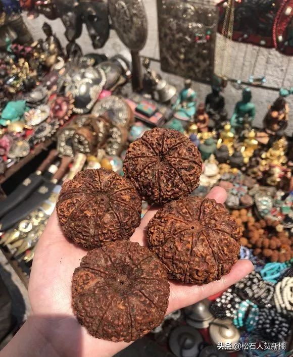 半个手掌大的金刚，一颗值500美元？