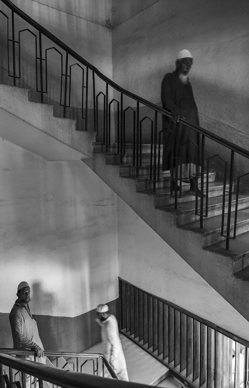 王员外图片,王员外摄影剪辑