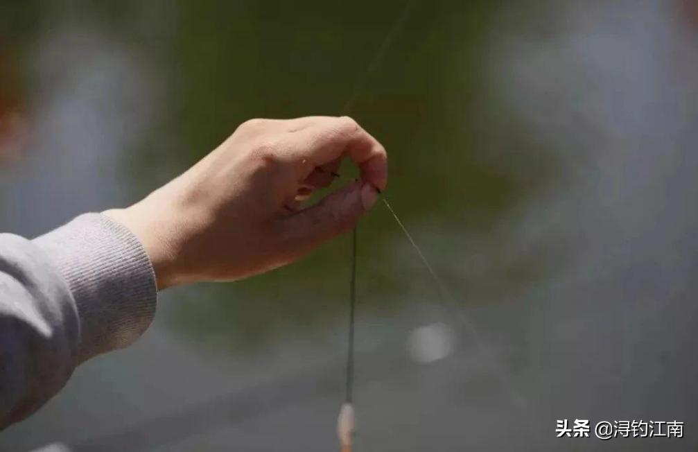 小鱼群中如何钓大鱼,小鱼群怎么钓鱼