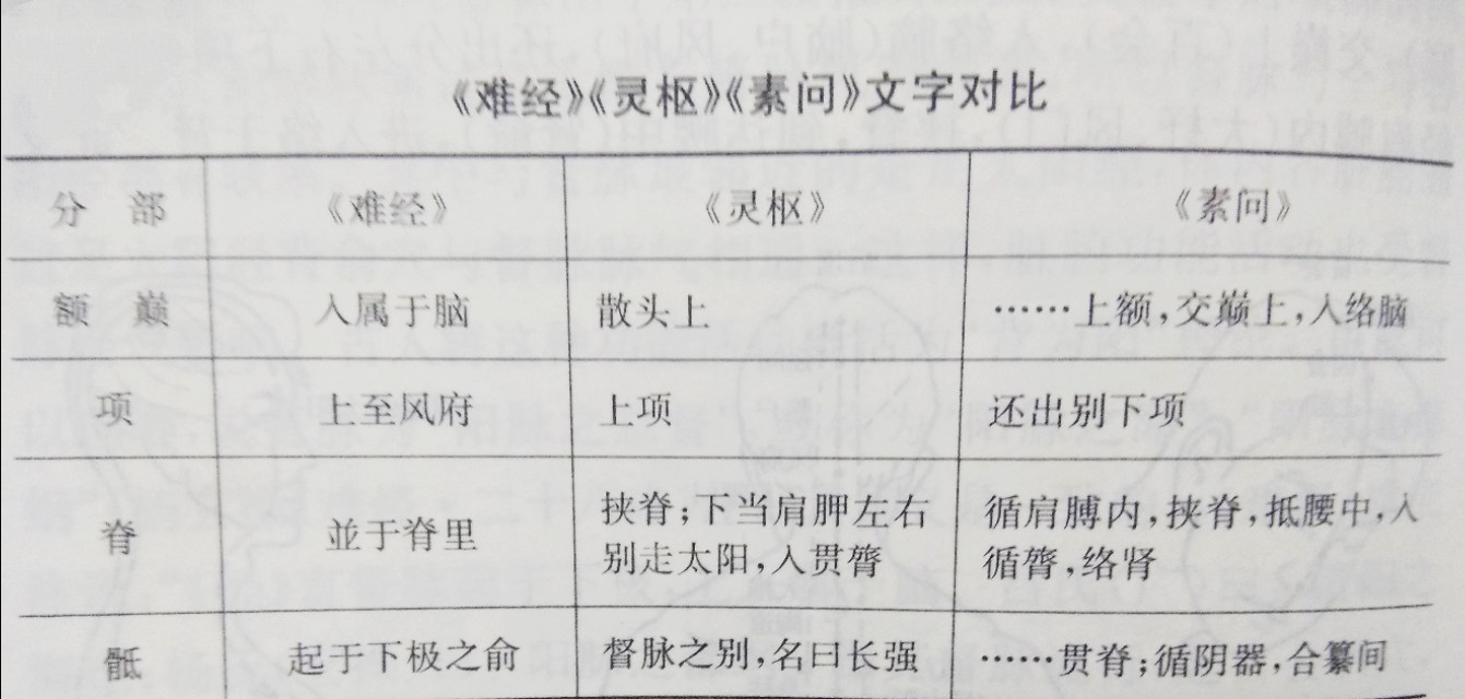 督脉的正确循行,督脉的循行特点是