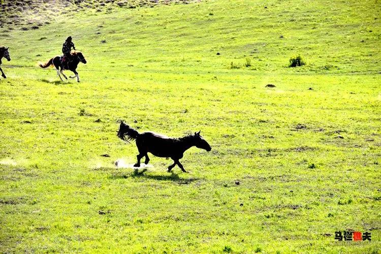 布里亚特牧民骑马摄影作品,草原蒙古族服饰摄影