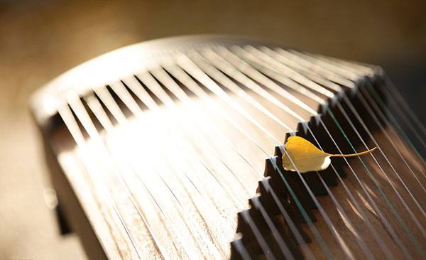 学古筝是去琴行好还是去培训班好,买古筝去淘宝买吗