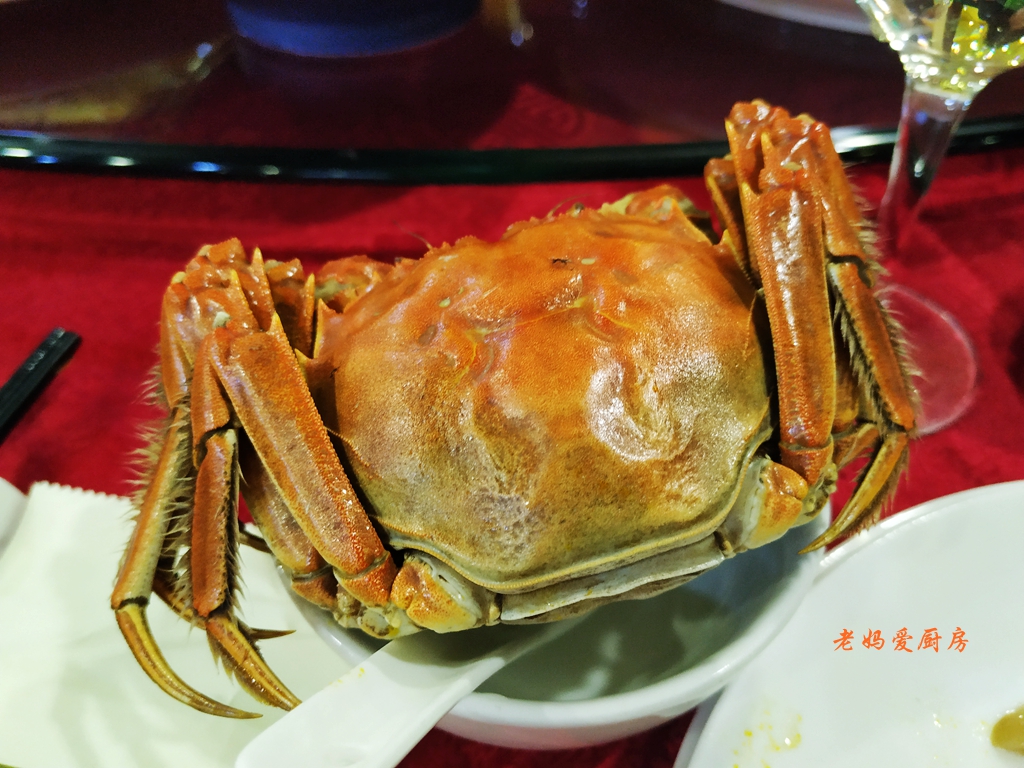 故乡情老同学,家乡老同学相聚